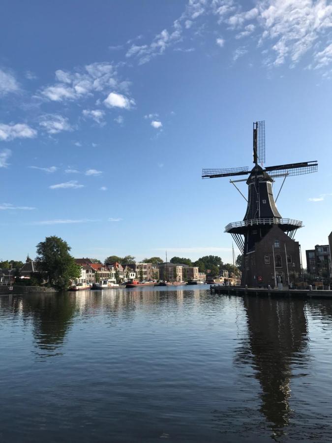 De Haarlemse Logeerkamer Exterior foto